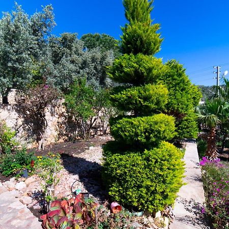 קס Villa Mira Kalkan -Close To City Center- מראה חיצוני תמונה