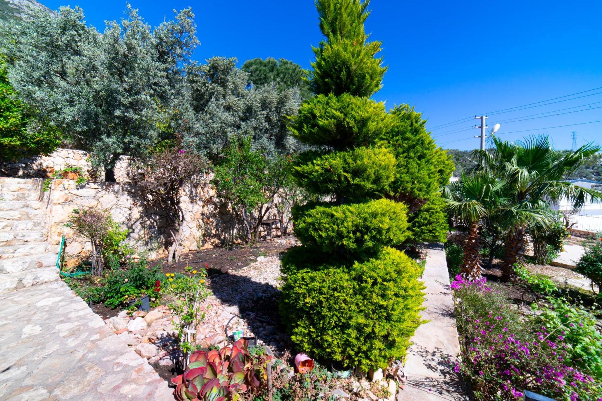 קס Villa Mira Kalkan -Close To City Center- מראה חיצוני תמונה